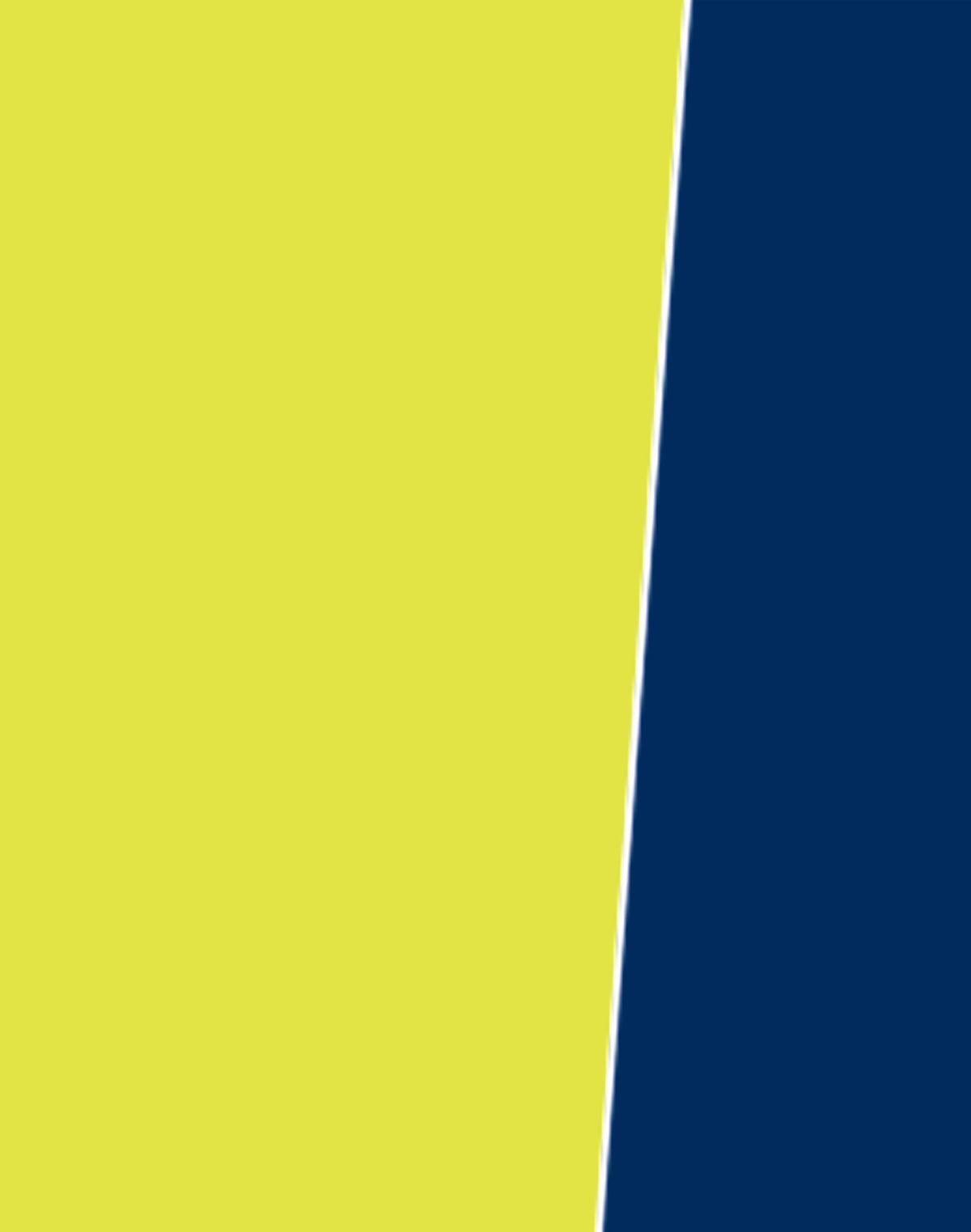 SW20A Yellow / Navy