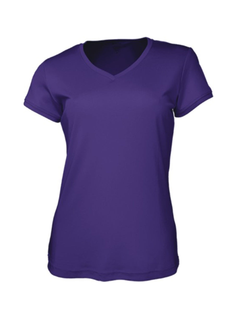 Ladies Brushed V-Neck Tee Shirt (CT1418)