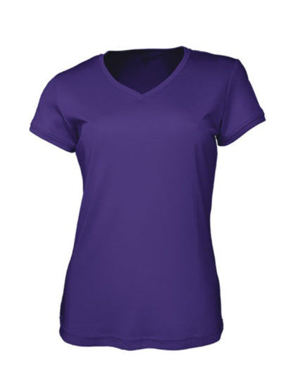 Ladies Brushed V-Neck Tee Shirt (CT1418)