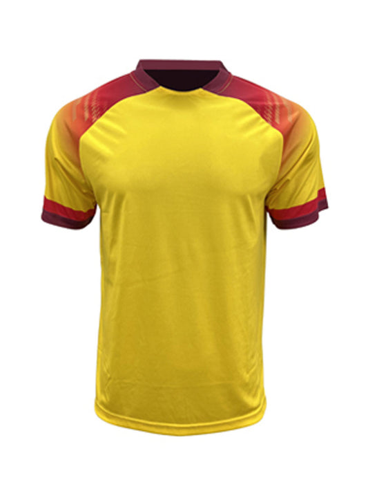 WORLD CUP JERSEY (FWC2234)