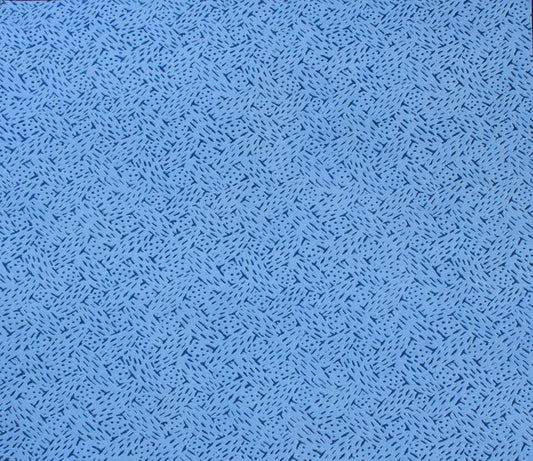 pp wipe35x30 crt of 500